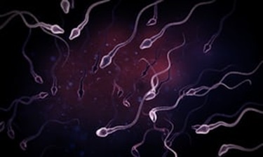 sperm-count