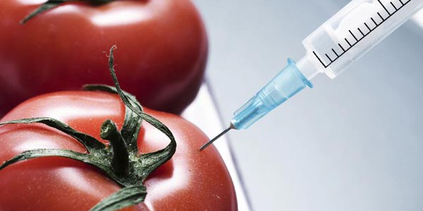 genetic_engineering